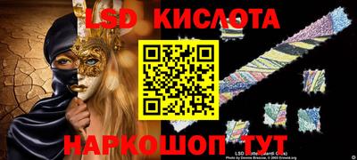 шишки Бийск
