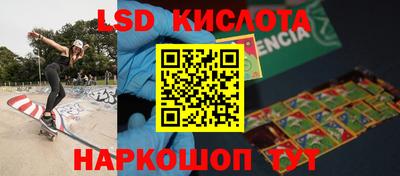 шишки Бийск