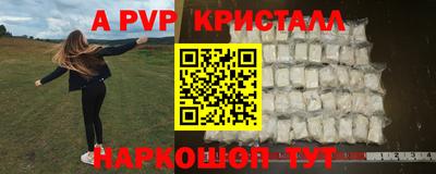 шишки Бийск