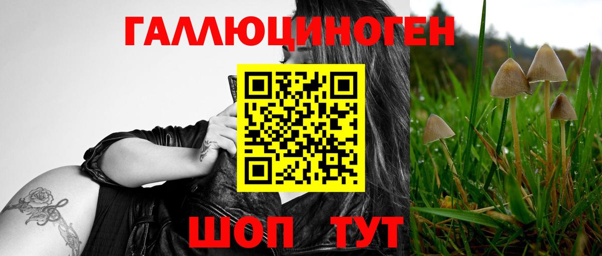 Псилоцибиновые грибы мухоморы  Вход с VPN  Калач-на-Дону 